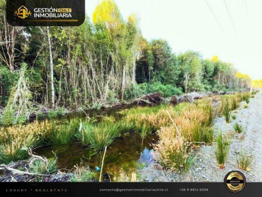 se-vende-parcela-en-proy-los-maderos-(145950)-8