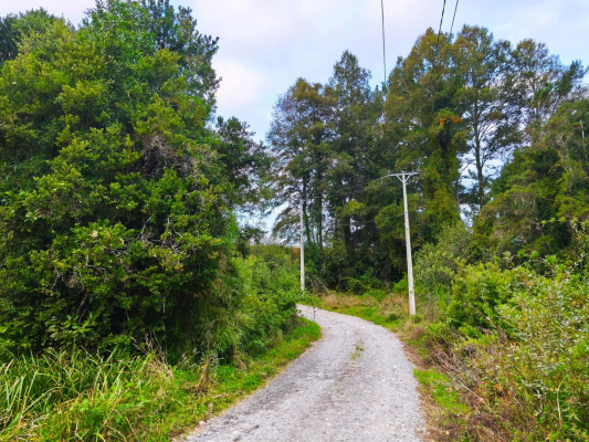 lindo-terreno-en-venta-sector-runca-valdivia-7