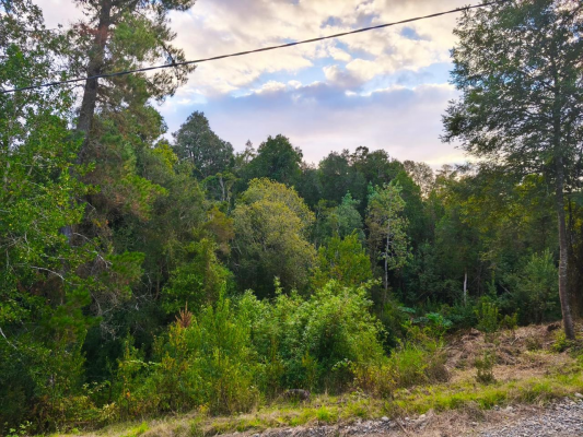 lindo-terreno-en-venta-sector-runca-valdivia-9