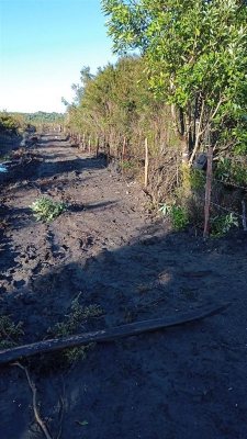 -17