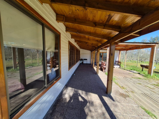 -12