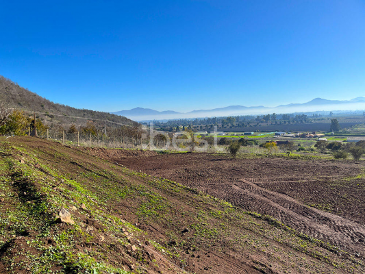 -13