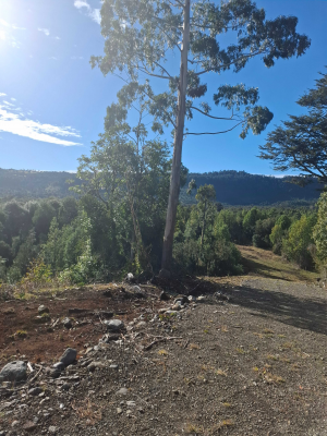 boquial-2-rio-bueno-(168128)-7