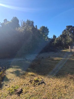 boquial-2-rio-bueno-(168128)-7