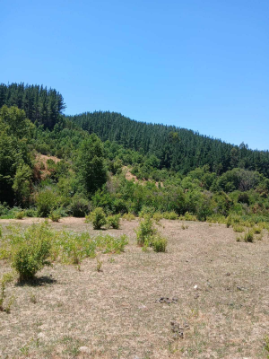 excelente-inversion,-vega-de-salas-(170497)-3
