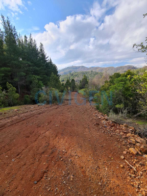 paz-y-tranquilidad-parcela-0,5ha-(170489)-8