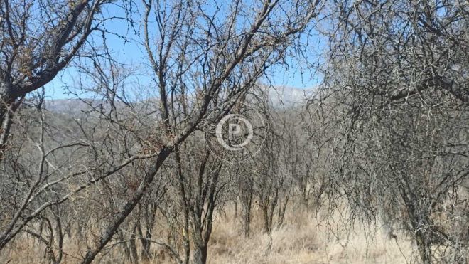 parcela-en-venta-5600-m2-hijuelas-(157372)-7