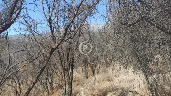 parcela-en-venta-5600-m2-hijuelas-(157372)-8