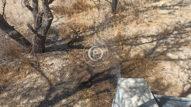 -11