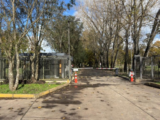 naturaleza,-seguridad-y-conectividad-bosques-de-8