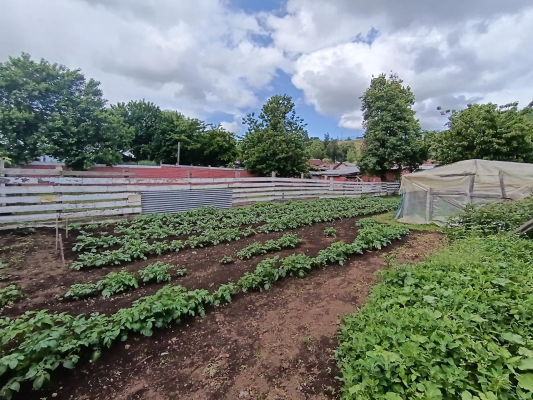 espectacular-sitio-a-la-venta-en-osorno-3