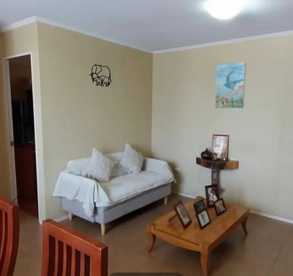 luminoso-departamento-para-inversion-segura-(17-4