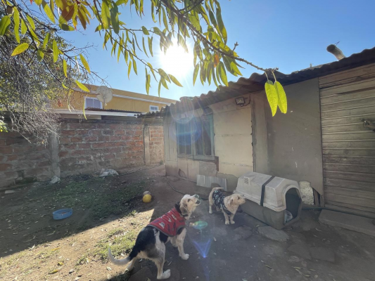 venta-de-casa-cerca-de-santa-rosa-con-vespucio-sur-4