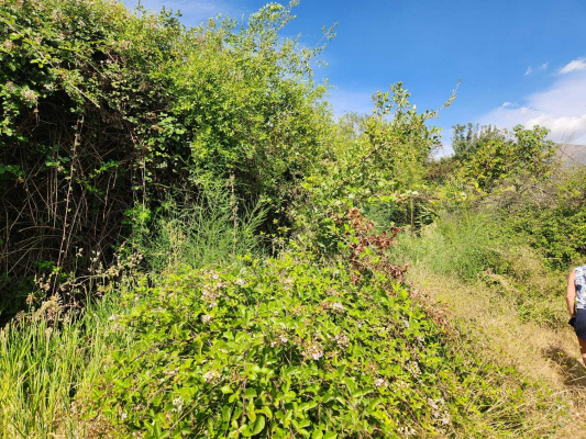vta-exclusiva-hacienda-de-5000-m²-|-lo-canas-6