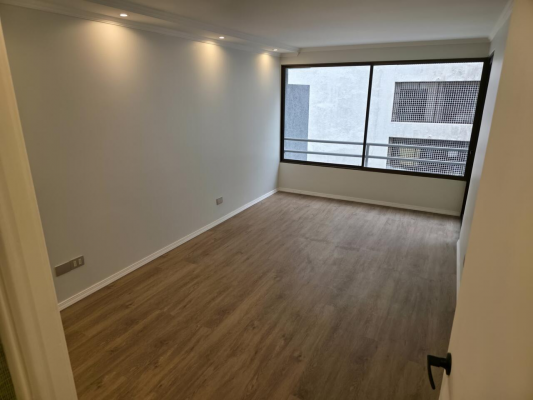 departamento-remodelado-completo-barrio-las-nieves-8