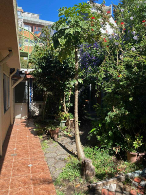 casa-comercial-(168386)-4