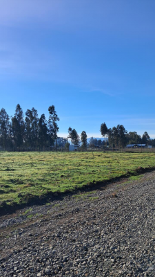 parcelas-de-agrado-en-venta,-molina-5