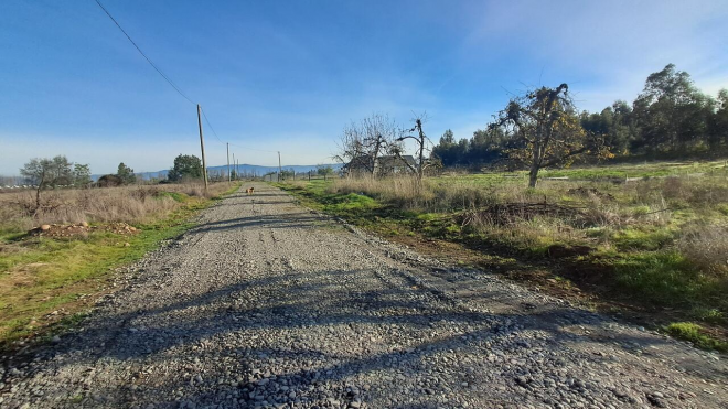 parcelas-de-agrado-en-venta,-molina-9