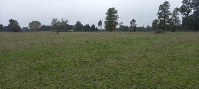terreno-agricola-de-4,7-ha-en-purranque-frutillar-3
