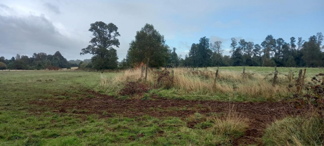 terreno-agricola-de-4,7-ha-en-purranque-frutillar-7