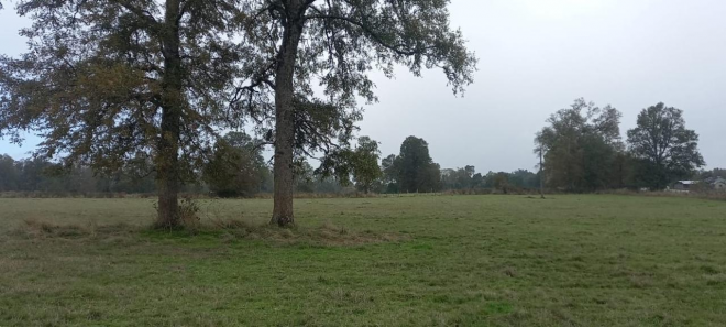 terreno-agricola-de-4,7-ha-en-purranque-frutillar-8