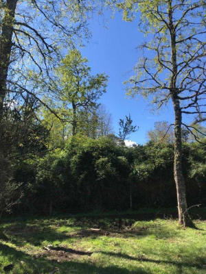 exclusivo-proyecto-//-5000-m2-(99135)-7