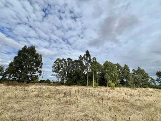 se-vende-hermosa-parcela-camino-botrolhue-(171054)-4