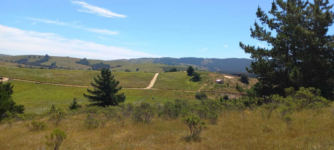 cabana-en-parcela-de-5000mt2-en-bucalemu-(162-4