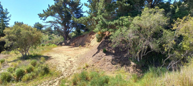 cabana-en-parcela-de-5000mt2-en-bucalemu-(162-8