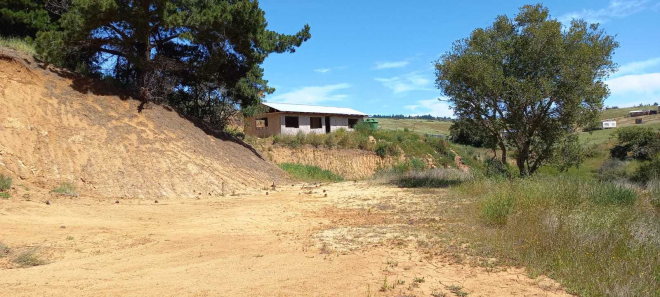 cabana-en-parcela-de-5000mt2-en-bucalemu-(162-9