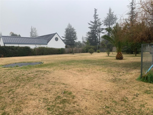 104113666-5