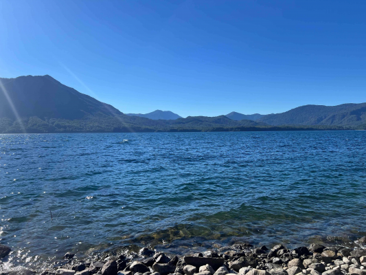 terreno-lago-caburgua-/-renahue-(171935)-5
