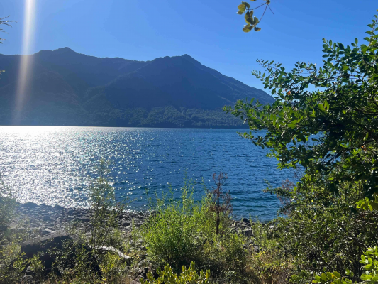 terreno-lago-caburgua-/-renahue-(171935)-7