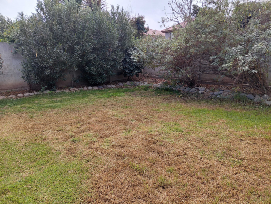 casa-amplia-y-luminosa-con-jardin-(171297)-5