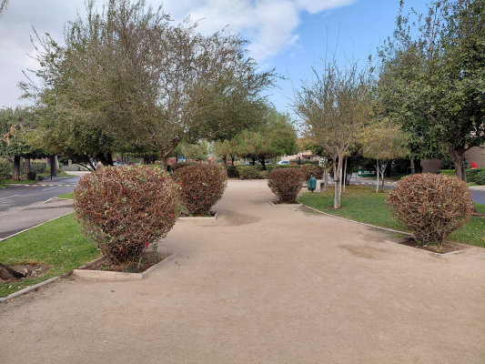 casa-amplia-y-luminosa-con-jardin-(171297)-7