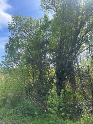 104110306-8