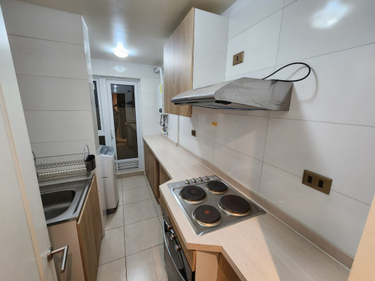 condominio-isla-de-los-alerces-9