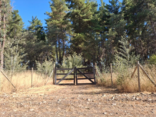 -10