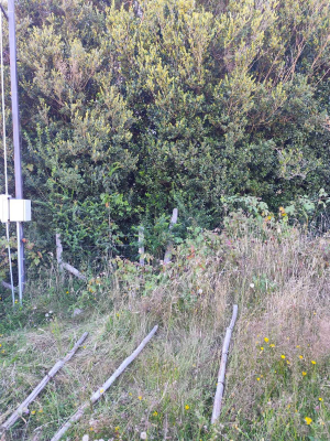 terreno-amplio-para-proyecto-de-ensueno-(149130)-9