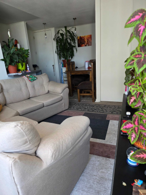 vende-depto-ideal-para-inversor-(169308)-7