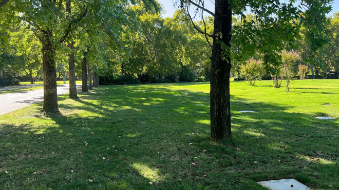 -5