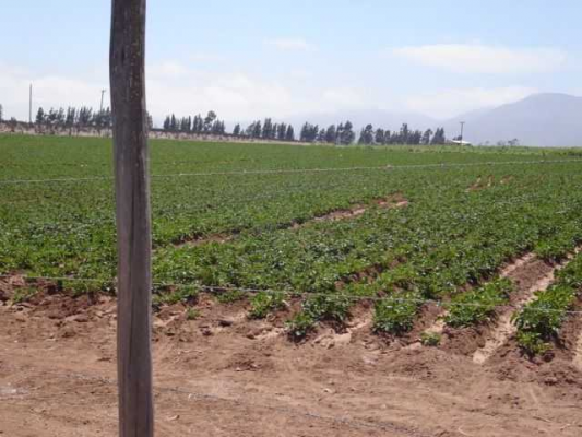 venta-terreno-pan-de-azucar-(172641)-3
