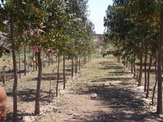 venta-terreno-pan-de-azucar-(172641)-4