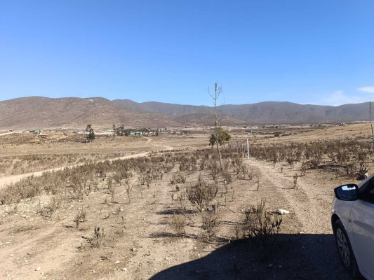 venta-terreno-pan-de-azucar-(172641)-7