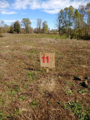 -8