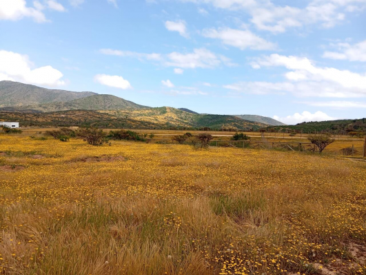 venta-parcela-10000000mts-zapallar-4