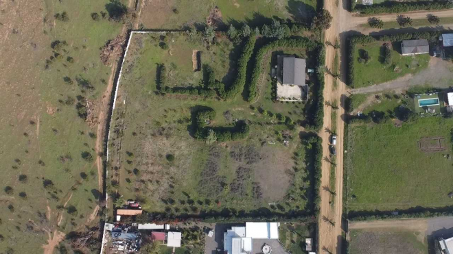 -11