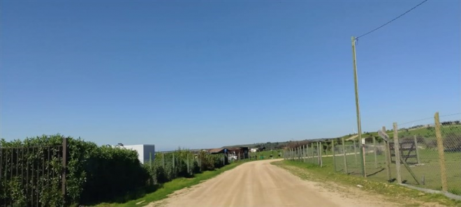 -11