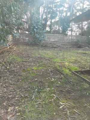terreno-en-bosques-de-quirilluca-(173638)-7