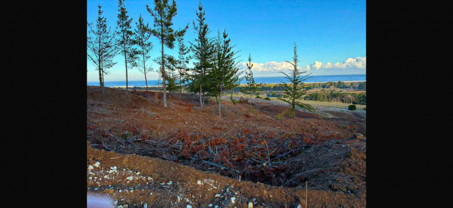 venta-terreno---sitio-5049mts-pichilemu-4